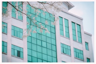 Modern branch exterior with rounded corners and subtle lighting.