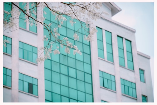 Modern branch exterior with rounded corners and subtle lighting.