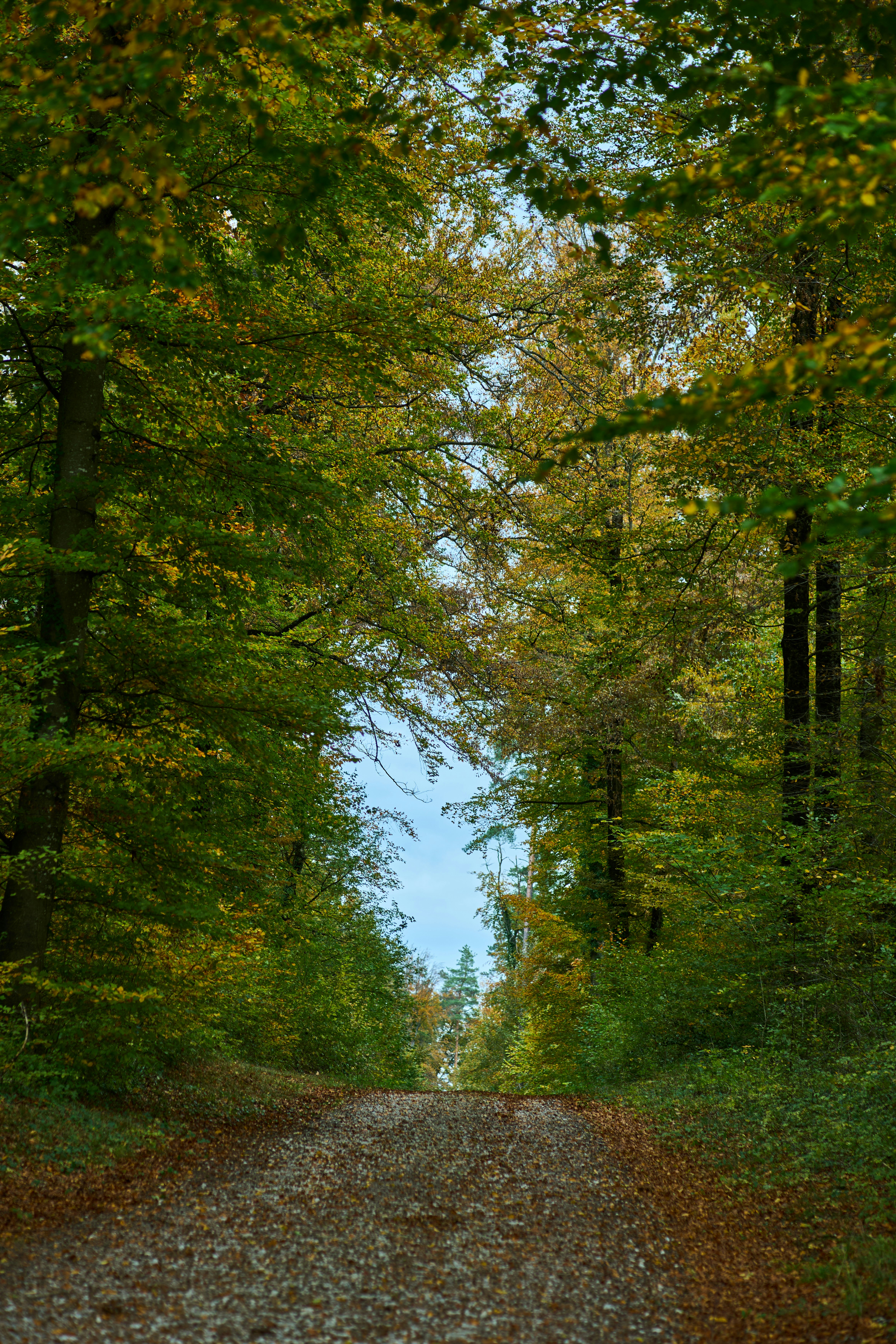 Photo by wolfgang_hasselmann