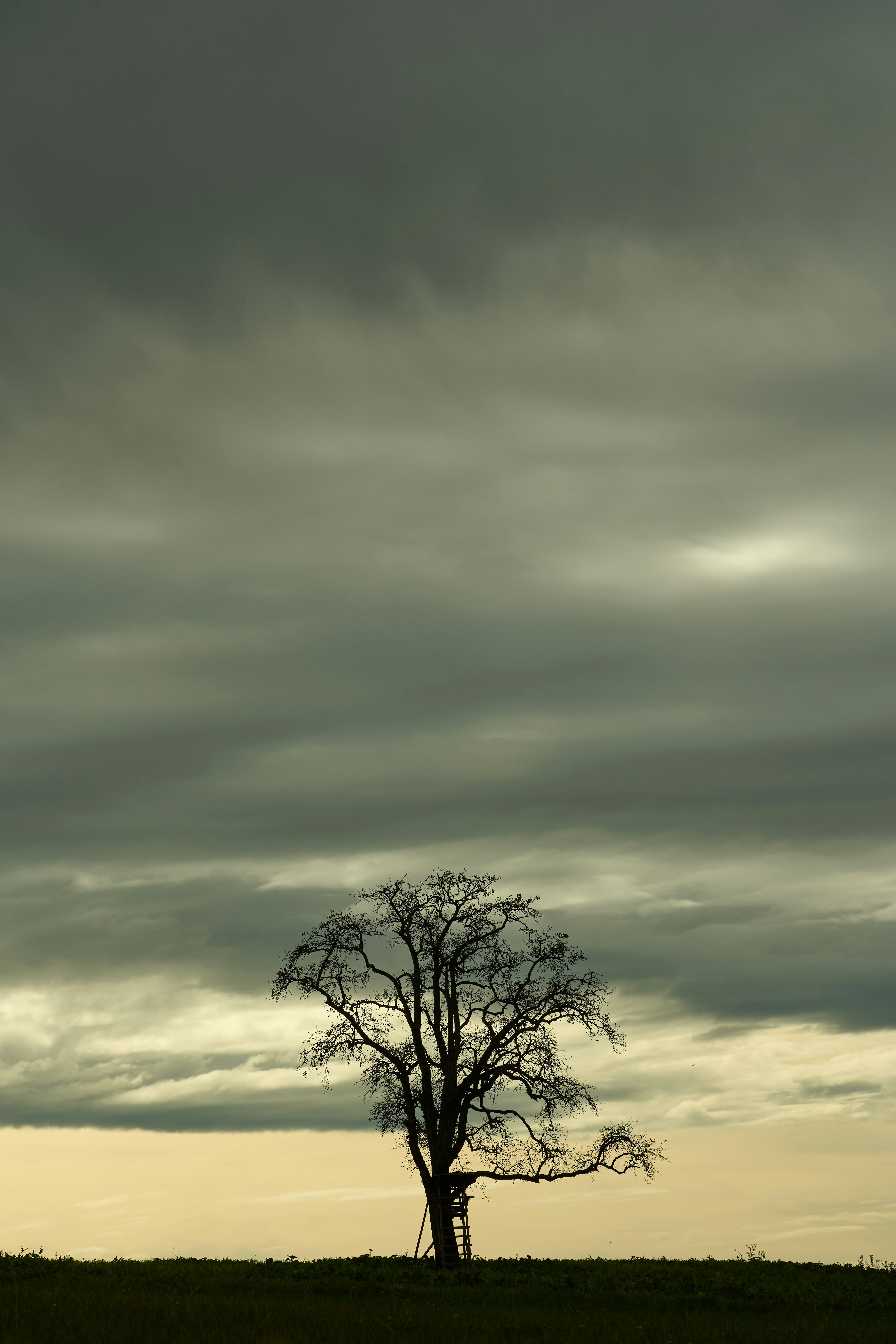 Photo by wolfgang_hasselmann