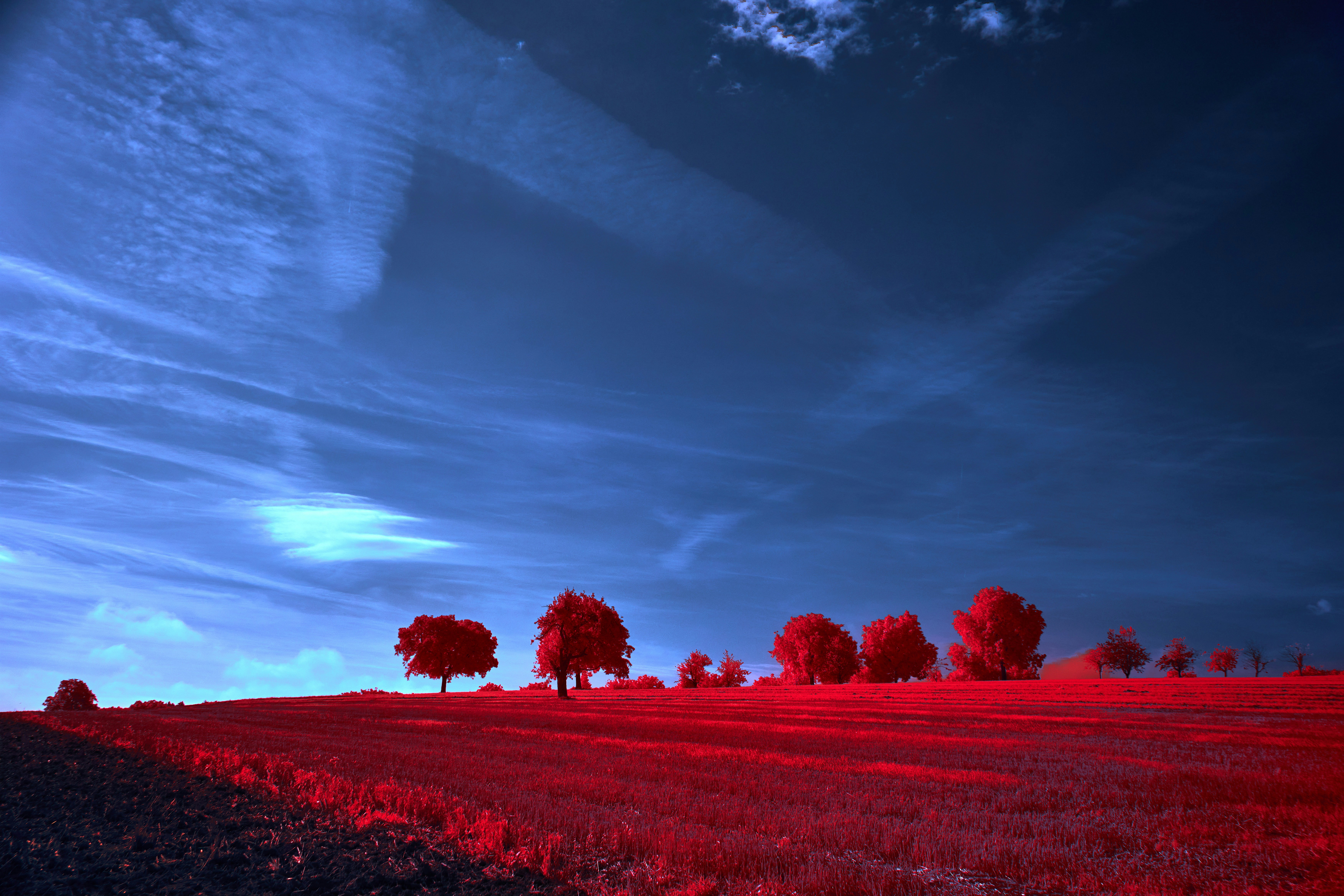 Photo by wolfgang_hasselmann