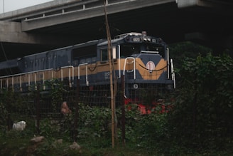 a blue and yellow train traveling under a bridge