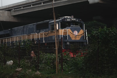 a blue and yellow train traveling under a bridge