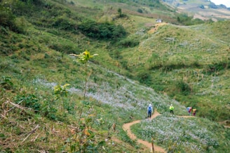 A lush green landscape with rolling hills features a narrow dirt path winding through fields of grass and small flowers. Several hikers, wearing brightly colored clothing and backpacks, are walking along the path. In the distance, a small wooden structure is perched on a hill.