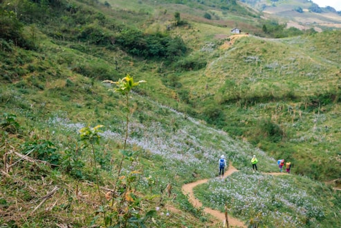 Travelers trekking through lush green hills.