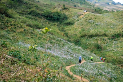 Guests enjoying a guided hiking tour through lush green hills.