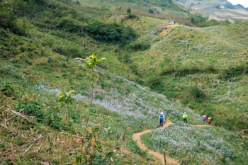 A lush green landscape with rolling hills features a narrow dirt path winding through fields of grass and small flowers. Several hikers, wearing brightly colored clothing and backpacks, are walking along the path. In the distance, a small wooden structure is perched on a hill.