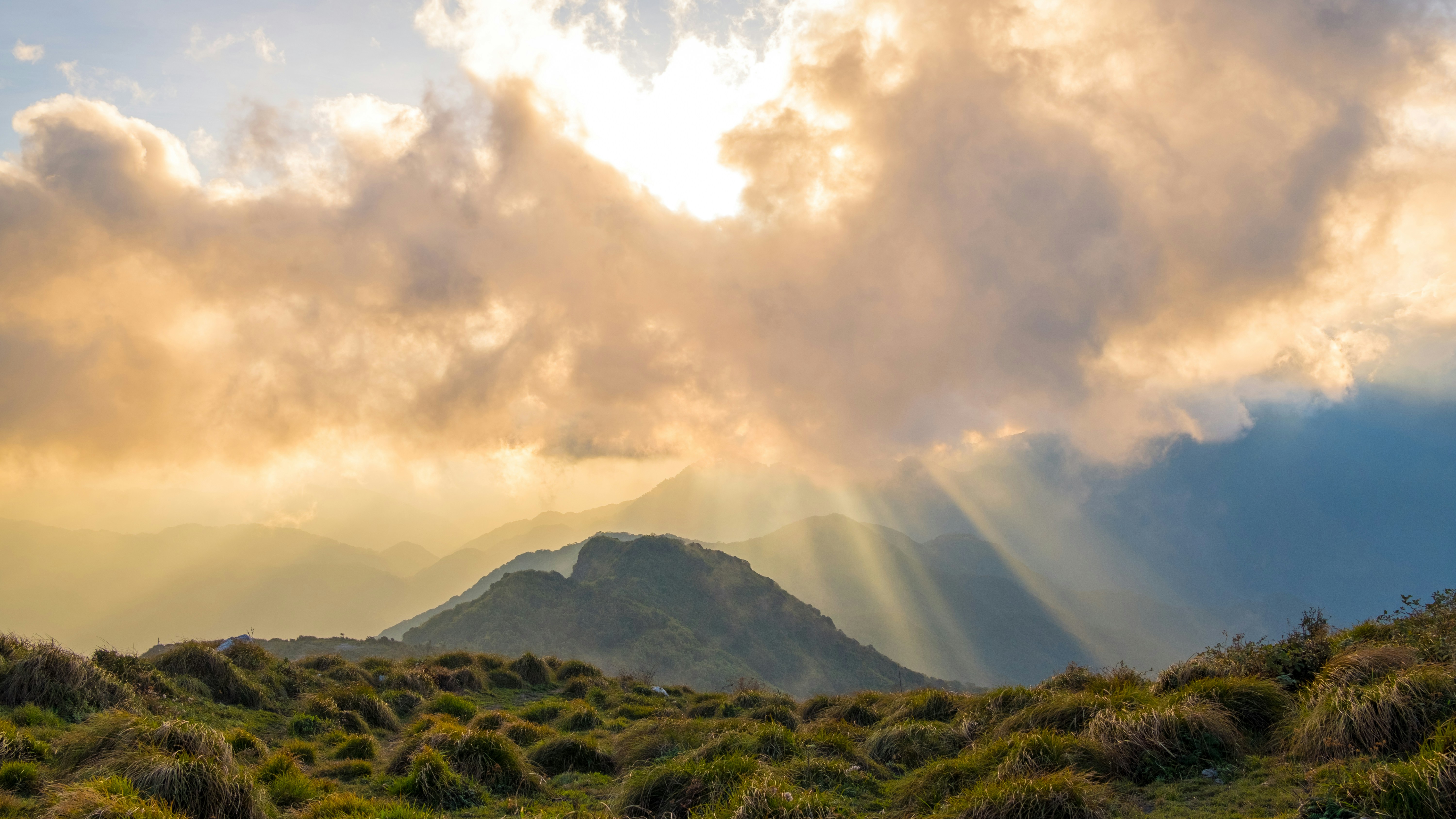 Photo by tuanhmautim