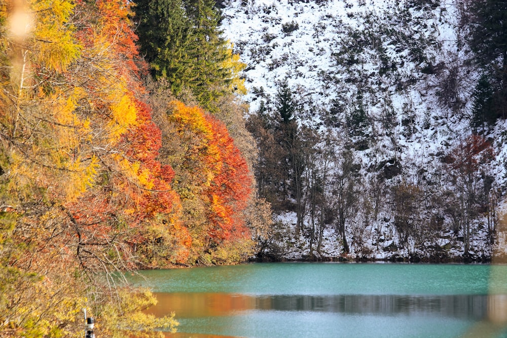 a body of water surrounded by trees and snow