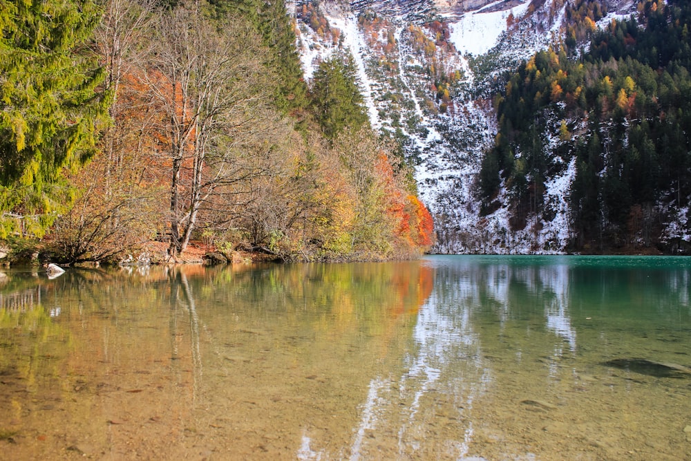 a body of water surrounded by mountains and trees