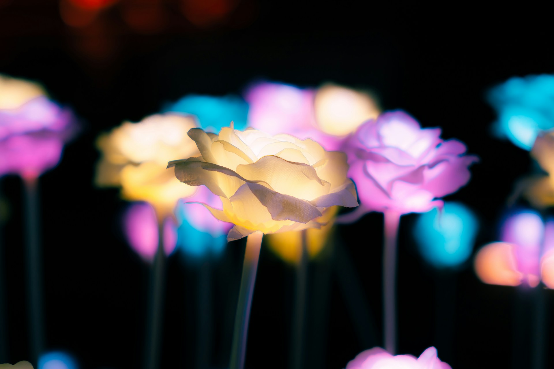 black and white bed linen