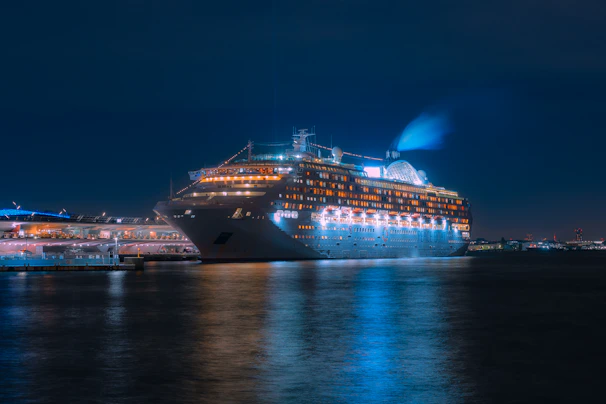 a cruise ship docked in a harbor at night
