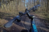 A close-up of e-bike handlebars with a forest in the background.