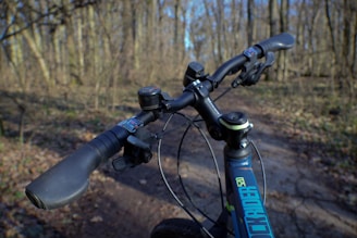 A close-up of mountain bike handlebars with scenic background.