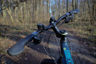 Close-up of a biker's hand gripping the handlebar with a scenic forest background.