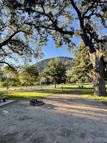 A scenic view of a park where I brainstorm ideas for my blog.