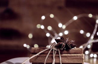 Cinnamon sticks tied with twine are adorned with star anise, set against a blurred background featuring soft, glowing lights.