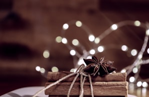 Cinnamon sticks tied with twine are adorned with star anise, set against a blurred background featuring soft, glowing lights.
