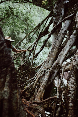 An adventurous character navigating through a lush jungle environment.