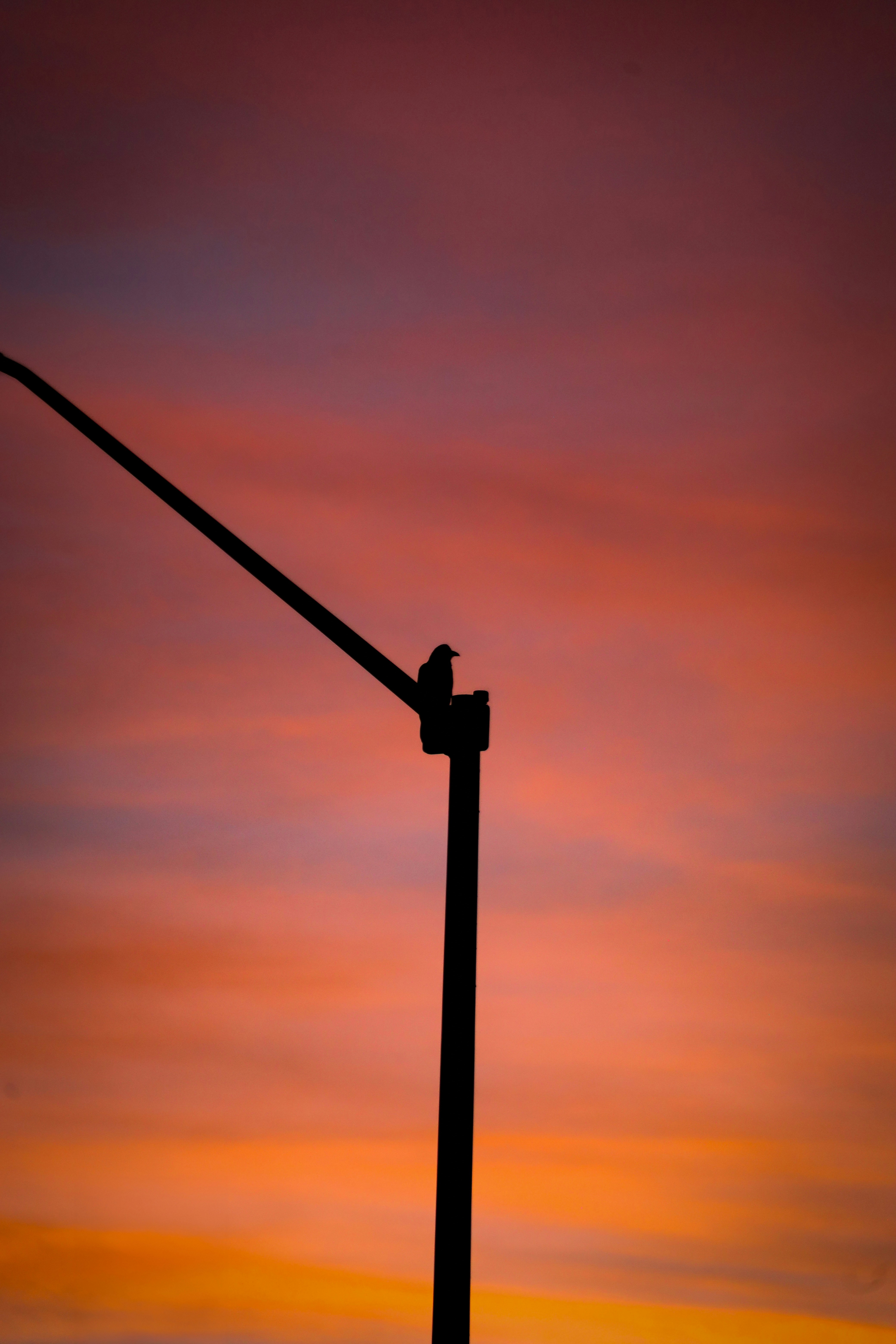 Photo by tory_hoffman