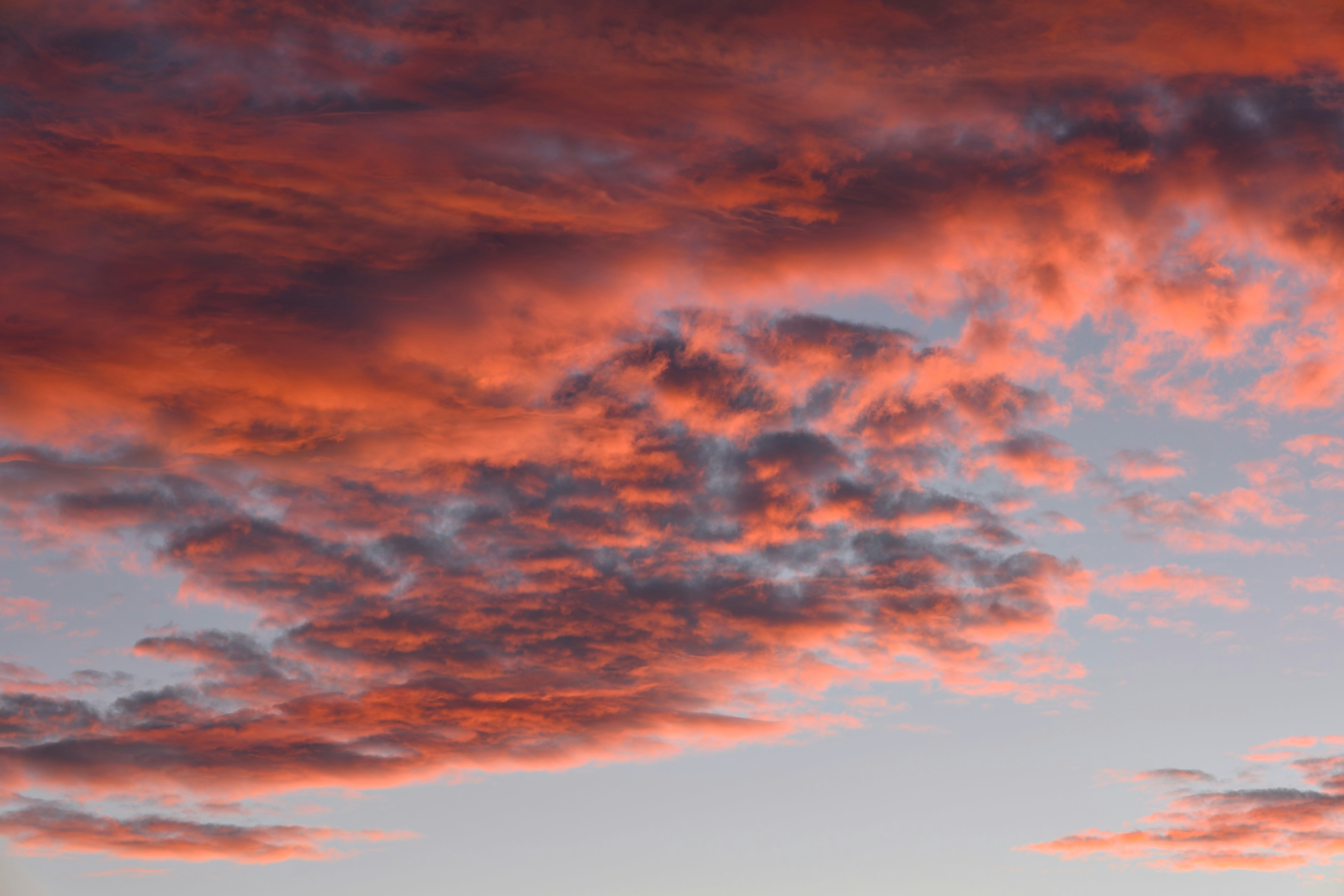Un avión volando en el cielo al atardecer