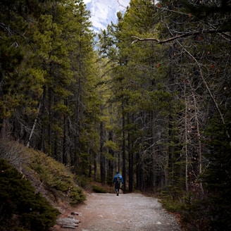 a person riding a bike on a trail in the woods