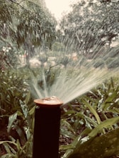 A garden sprinkler disperses water in a wide spray pattern, creating a misty effect. The surrounding area is lush with green plants, and droplets of water shimmer in the air. Foliage in the background adds depth to the scene.