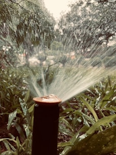 A garden sprinkler disperses water in a wide spray pattern, creating a misty effect. The surrounding area is lush with green plants, and droplets of water shimmer in the air. Foliage in the background adds depth to the scene.
