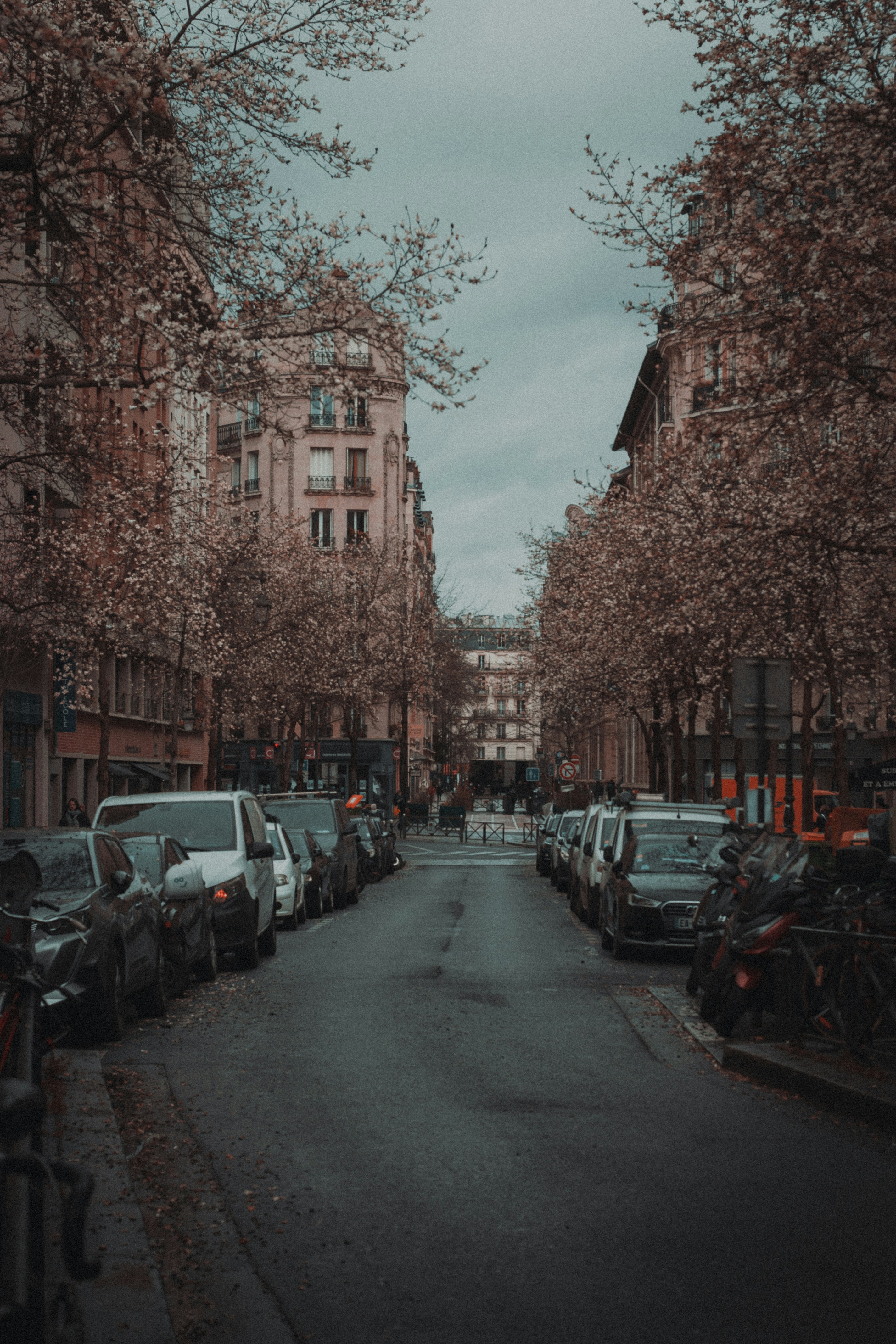 Photo by infernisvox