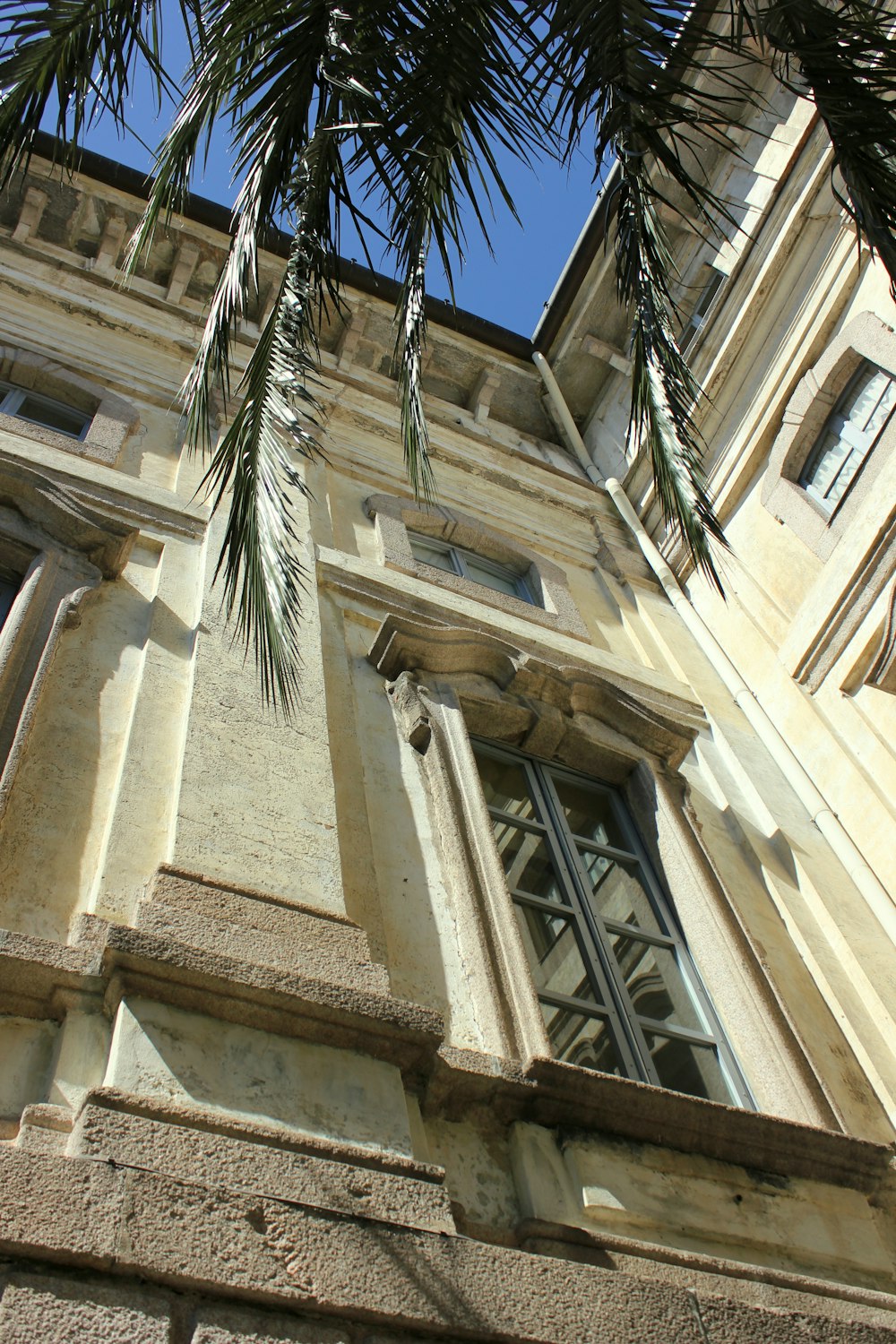 a tall building with a palm tree in front of it