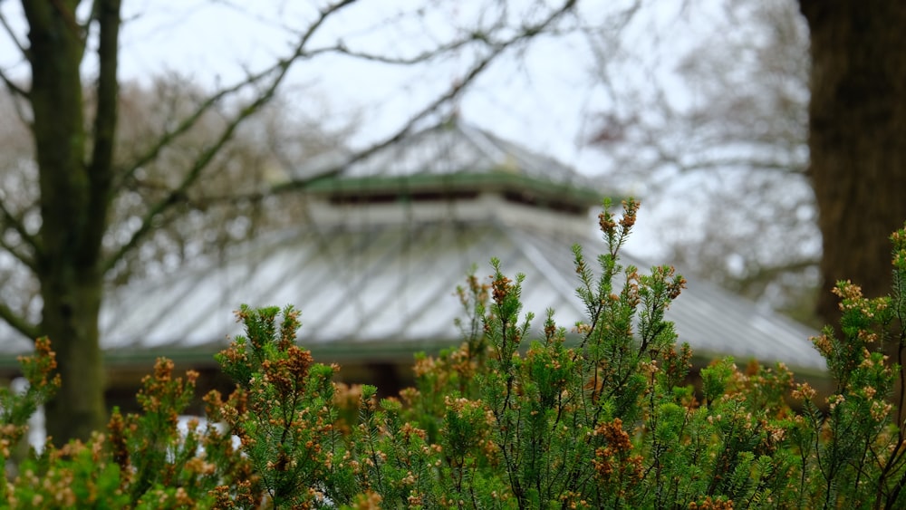 a view of a building through some trees