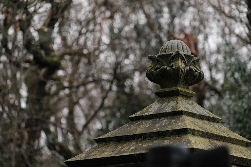 a close up of a statue on top of a building