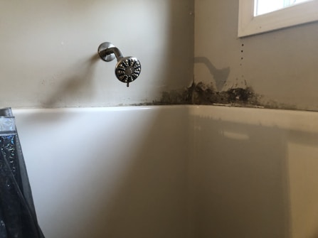 A bathroom corner displaying a shower head attached to the wall above a white bathtub. The upper corner of the wall appears to have mold or mildew growth, indicated by dark, discolored areas near the shower.