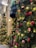 Several Christmas trees decorated with red ornaments and yellow lights, lined up on a street or outside a building. The focus is on one tree in the foreground, with others blurred in the background. The setting is festive, with twinkling lights enhancing the holiday atmosphere.