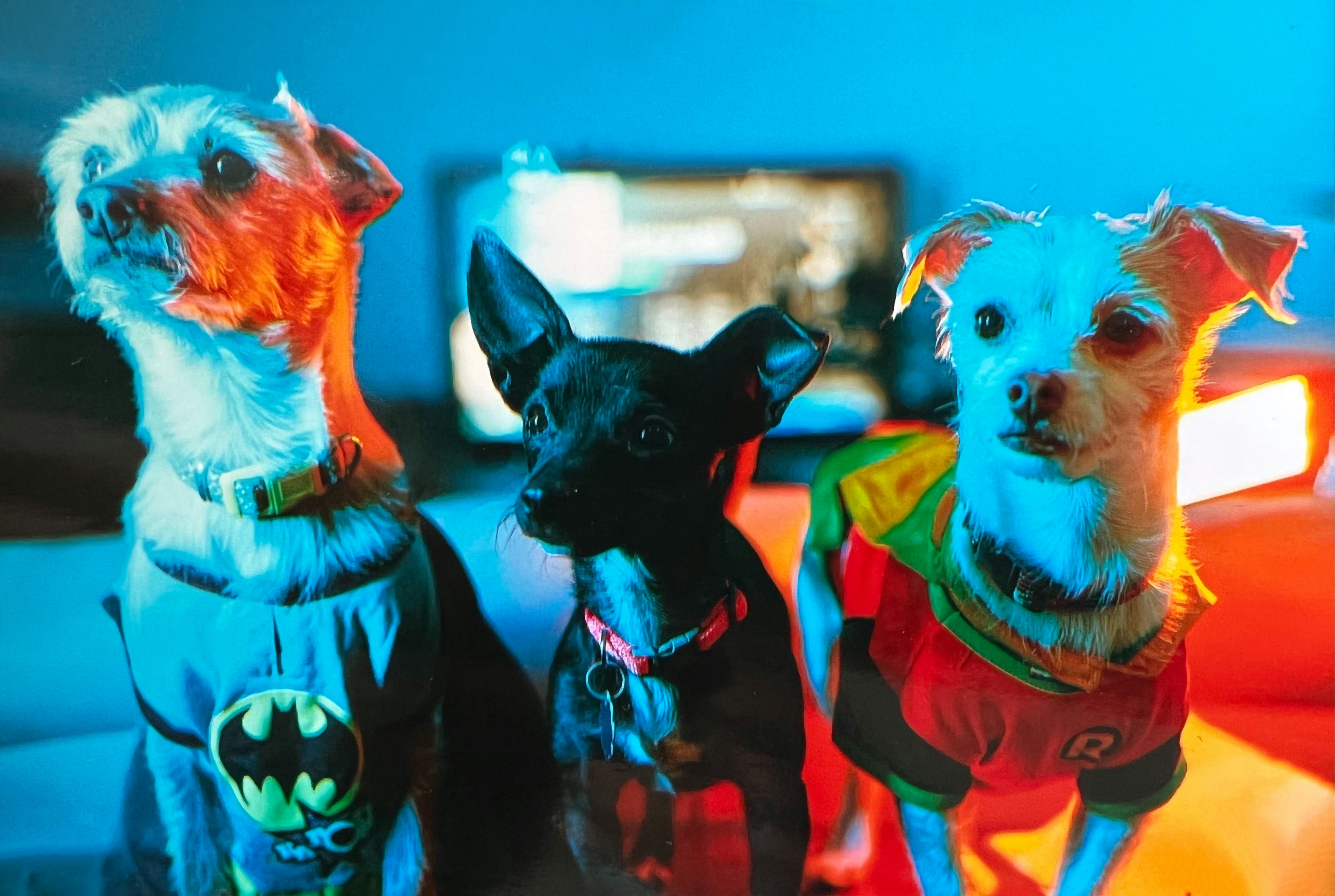Descubra os Detalhes do Novo Trailer do Filme Superman com Krypto, o Super-Cão