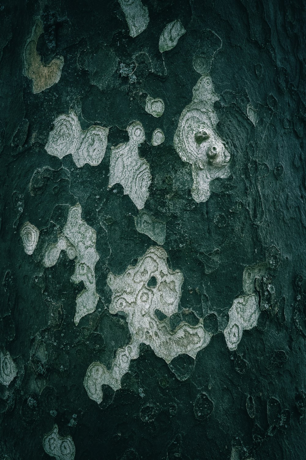 a black and white photo of rocks and water