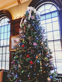 A beautifully decorated Christmas tree adorned with colorful ornaments, lights, and a large white ribbon at the top. The tree stands in front of arched windows in a classic, elegant room with wooden paneling. The festive decorations include baubles, candy canes, and garlands, creating a warm holiday atmosphere.