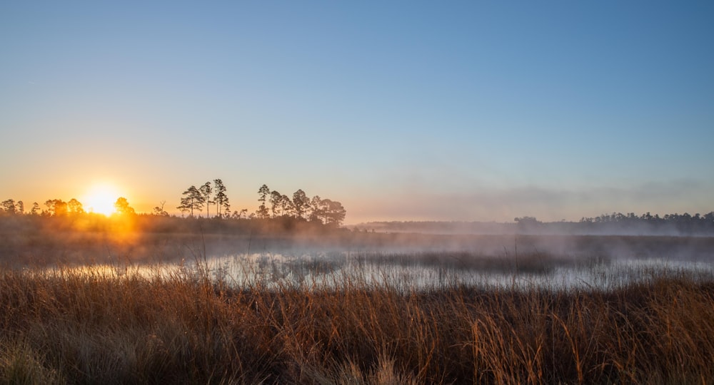 the sun is setting over a marshy area