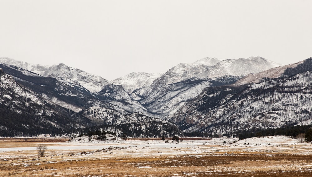a snowy mountain range with a few trees in the foreground