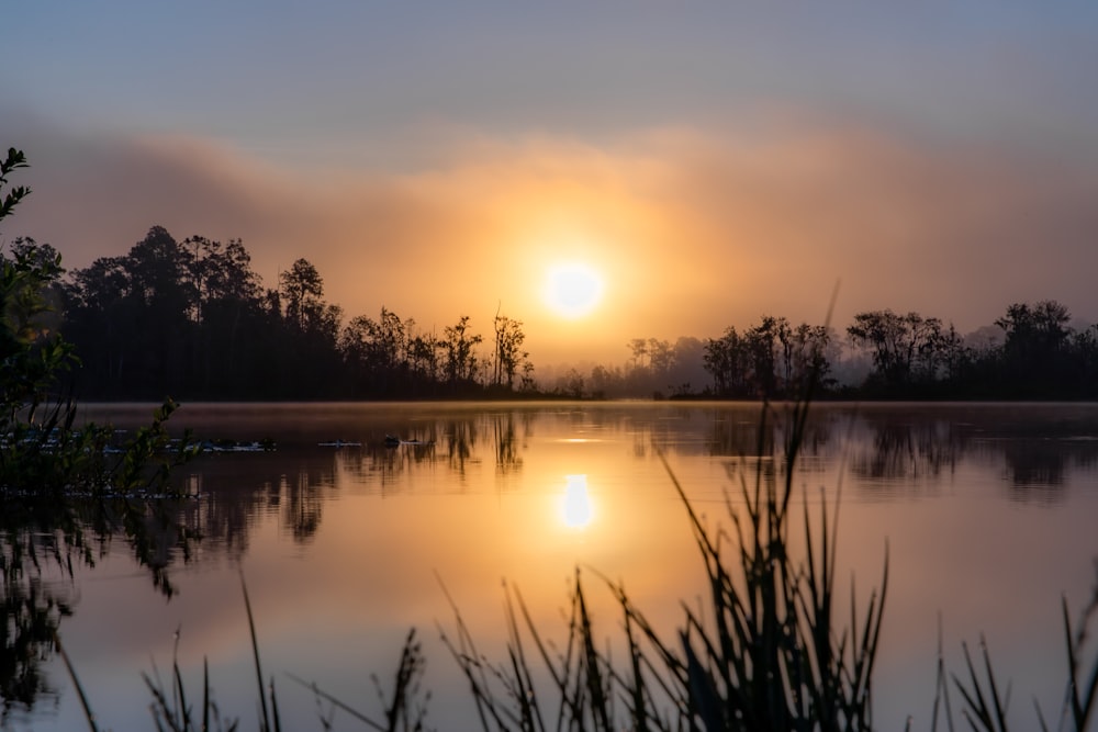 the sun is setting over a lake with trees in the background