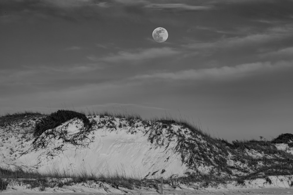 a black and white photo of the moon rising over a sand dune