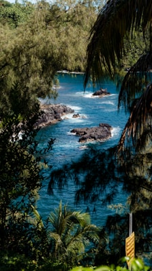 A panoramic view of the Isla Isabel coastline with waves gently crashing against volcanic rocks.
