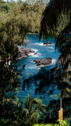 A scenic view of Costa Rica's lush landscapes and vibrant culture.