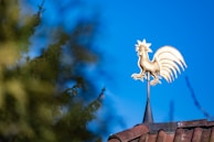 An intricate dragon-shaped weathervane mounted atop a rustic barn roof against a blue sky.