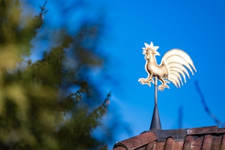 An intricate dragon-shaped weathervane mounted atop a rustic barn roof against a blue sky.