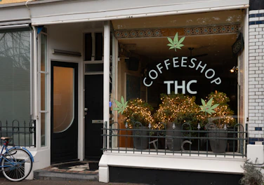 A storefront with a large glass window displays the words 'Coffeeshop THC'. The window is decorated with green leaf motifs, resembling cannabis leaves. Inside are several large plants adorned with strings of yellow lights, creating a warm and inviting atmosphere. A bicycle is parked outside near the entrance.