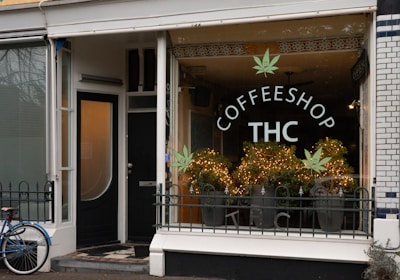 A storefront with a large glass window displays the words 'Coffeeshop THC'. The window is decorated with green leaf motifs, resembling cannabis leaves. Inside are several large plants adorned with strings of yellow lights, creating a warm and inviting atmosphere. A bicycle is parked outside near the entrance.