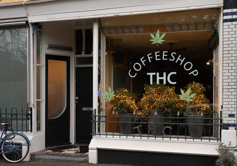 A vibrant storefront of a cannabis dispensary with cz420 branding and welcoming green accents.