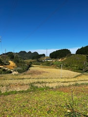 A thriving farm landscape with tech devices visible in fields.