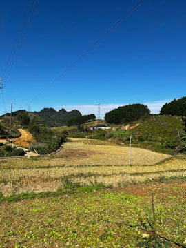 A thriving farm landscape with tech devices visible in fields.